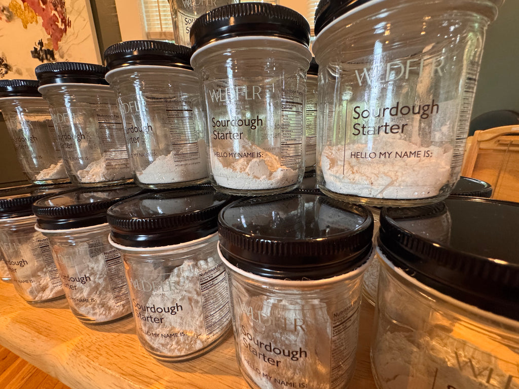 Sourdough Starter
