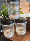 Premium Sourdough Starter